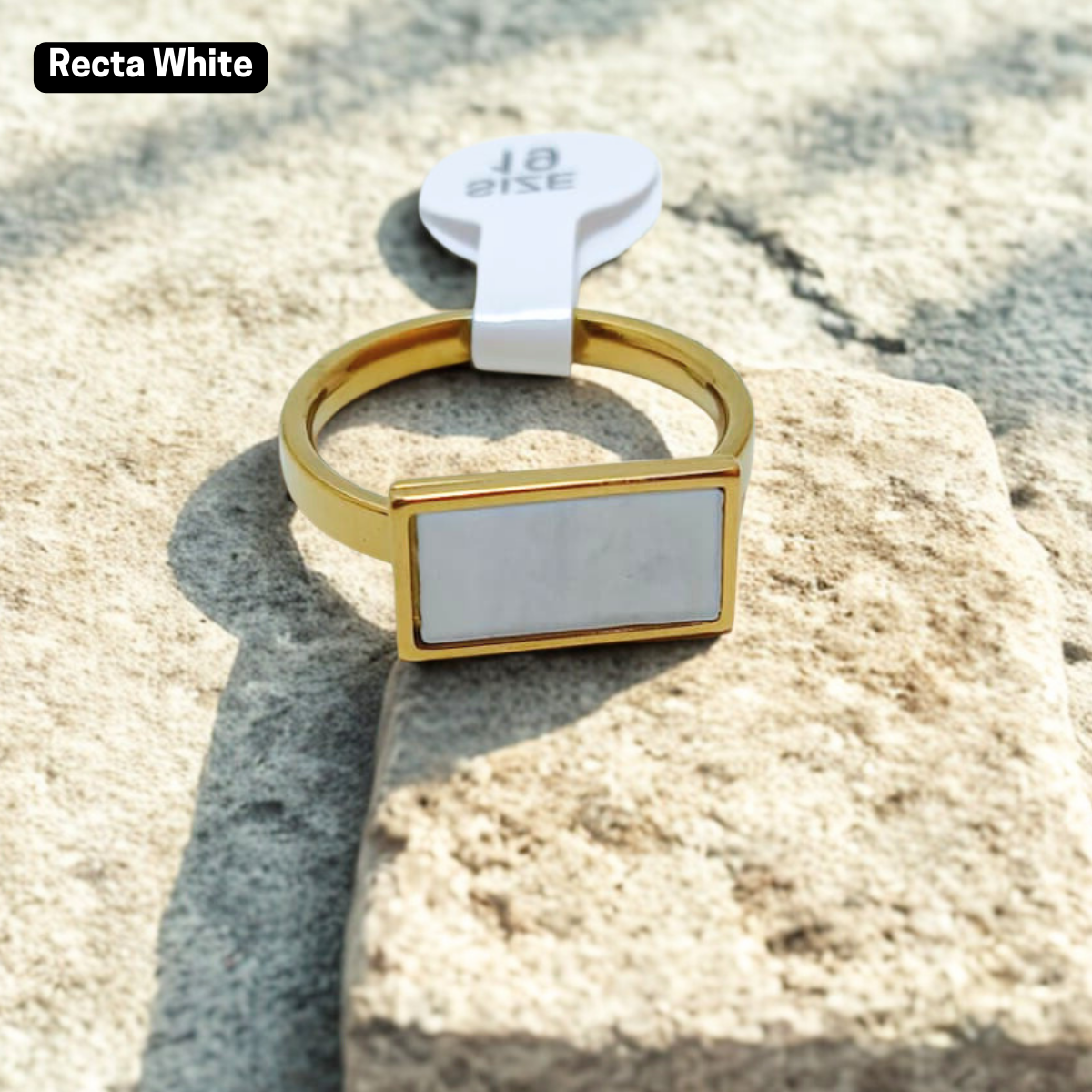 Premium Stainless Steel Trendy Rings AJ08260305